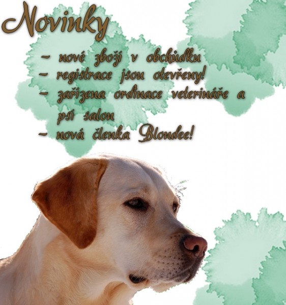 novinky
